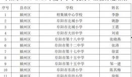 中转盘最新爆料实战效果,创新技术助力物流效率新飞跃