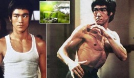 李小龙最新爆料,传奇武术宗师背后的不为人知故事